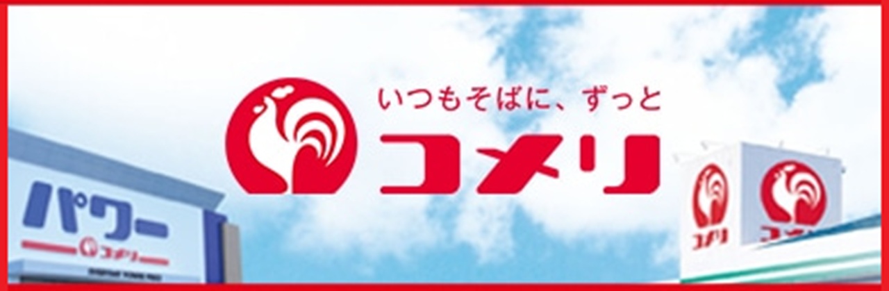 コメリのヒーターベストを選んだ理由